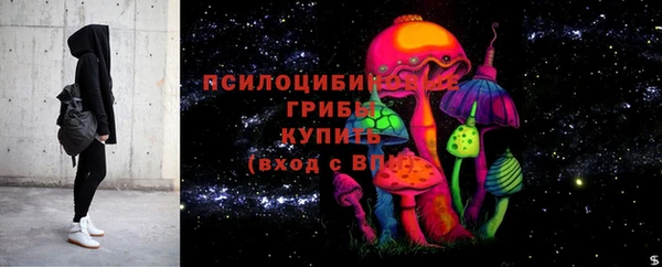 спиды Надым
