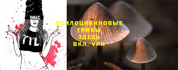 стафф Михайлов