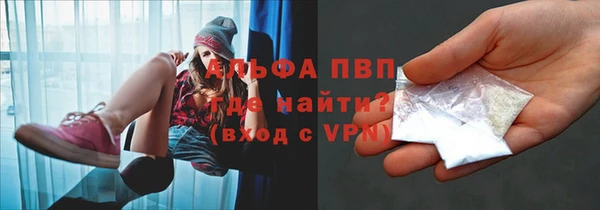 ECSTASY Белая Холуница