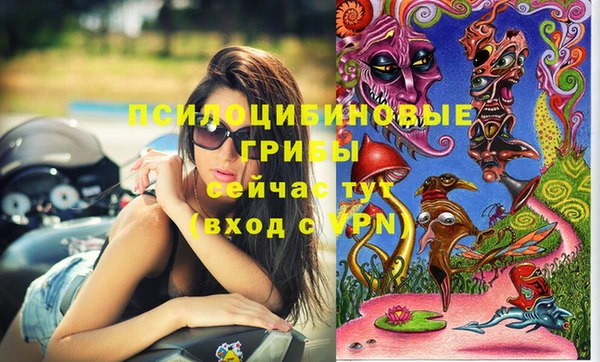 стафф Иннополис