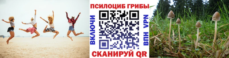 Галлюциногенные грибы прущие грибы где купить наркоту Навашино
